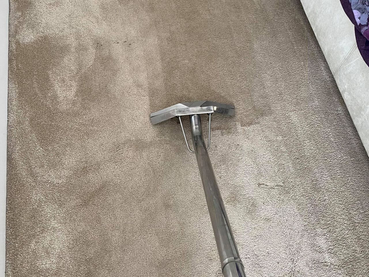 Beckenham Carpet Cleaning