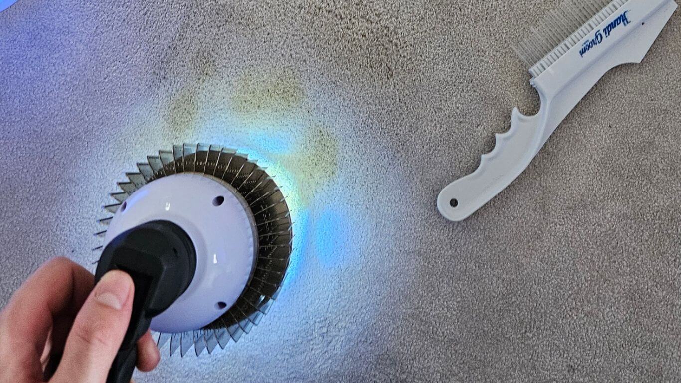 professional-carpet-and-rug-dyeing-chislehurst Professional Carpet and Rug Dyeing Chislehurst