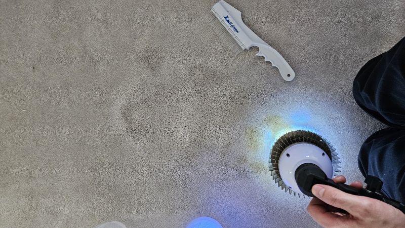professionally carpet dyeing Bromley